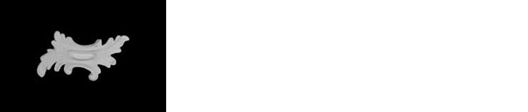 image of Plaster Scroll / DC808-21A